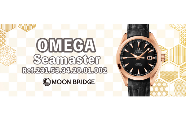 【おすすめ！】OMEGA 型番：231.53.34.20.01.002【シーマスター】